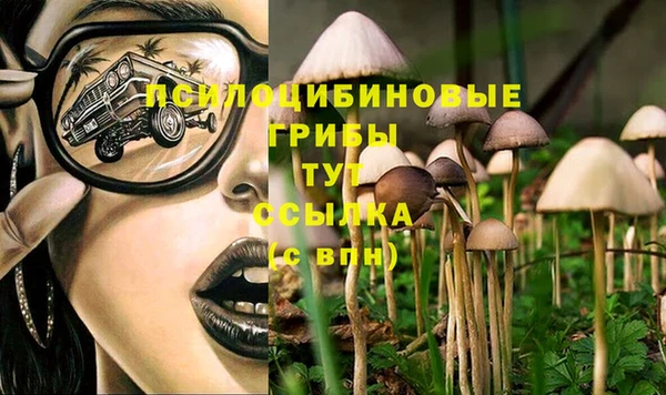 ECSTASY Алексин
