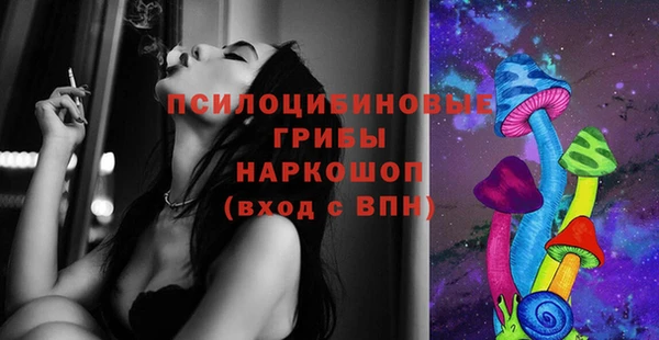 ECSTASY Алексин