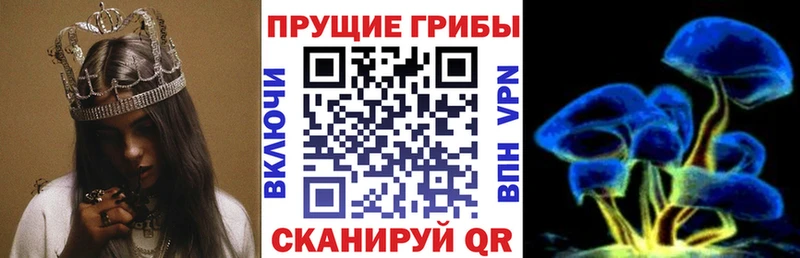 МЕГА сайт  Нелидово  Галлюциногенные грибы ЛСД 